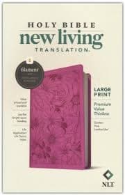 NLT Premium Value Thinline Bible, Filament-Enabled Edition (Leatherlike, Dusty Pink Vines) - (Leather Bound)