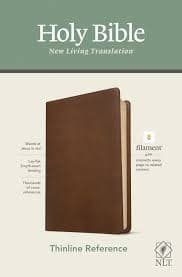 NLT Thinline Reference Bible, Filament Enabled Edition (Red Letter, Genuine Leather, Brown) by Tyndale