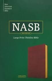 NASB Large Print Thinline Bible, Burnt Sienna Leathertouch - by Holman Bible Publishers (Leather Bound)