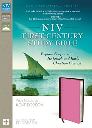 NIV First-Century Study Bible: Explore Scripture in Its Jewish and Early Christian Context, Leathersoft, Brown/Pink